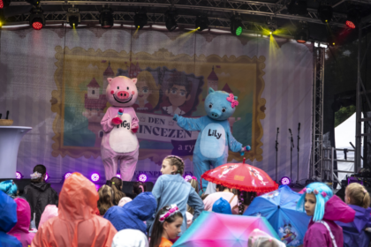 Den princezen a rytířů 2026 - Blatná